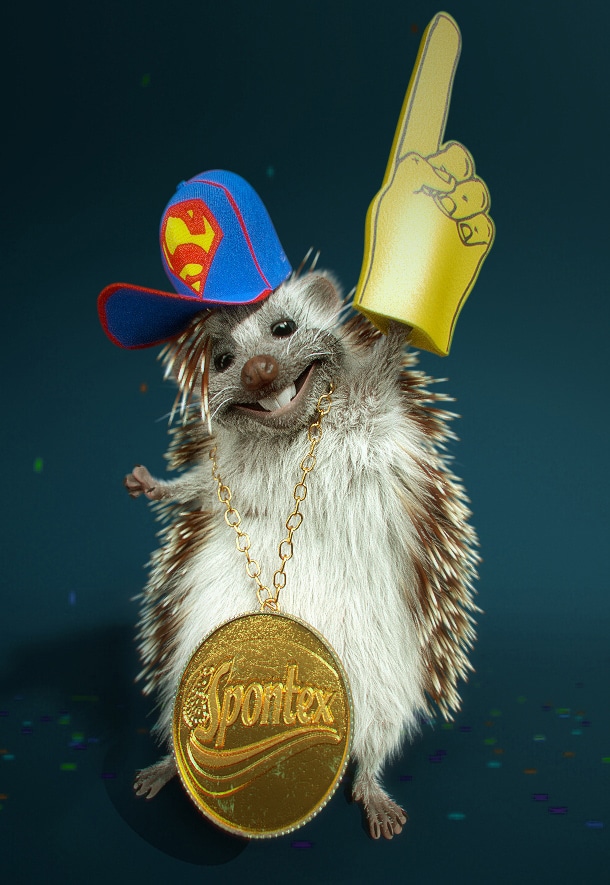 ErnieMedal_Wipix