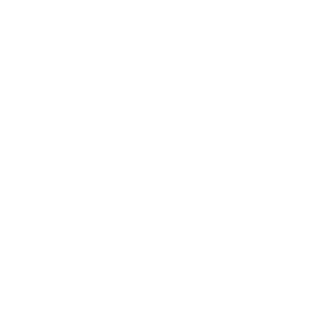 logo_wipix_square_white